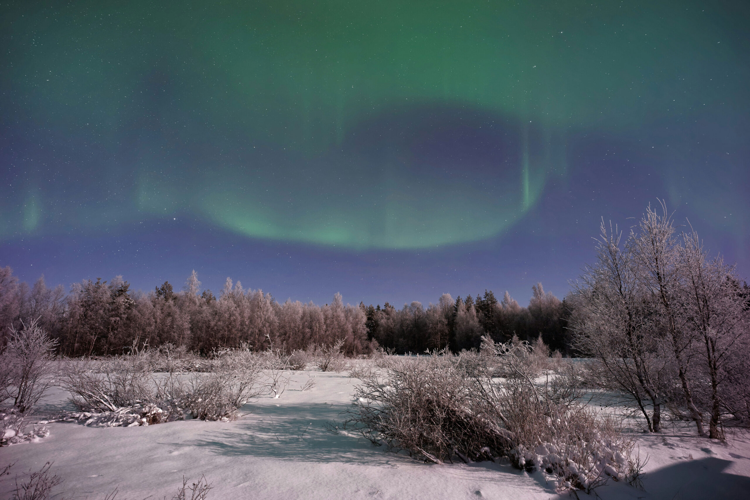 November vs. March: When Is the Best Time to See the Northern Lights? (A Data-Driven Analysis)